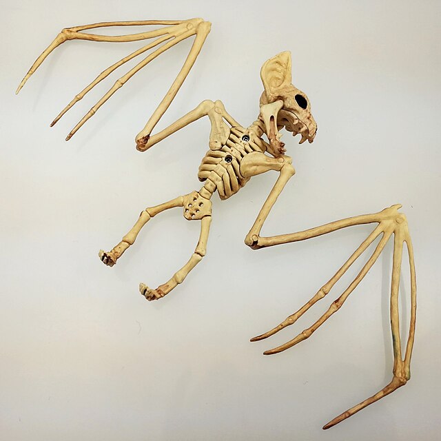 Halloween Animal Skeleton Decoration Horrible Bat Skeleton Bat Bone