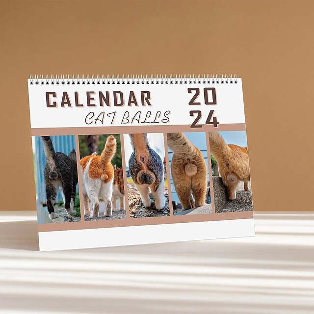 Cat Balls 2024 Calendar, New Funny Cat Butt Wall Calendar 2024, Funny ...