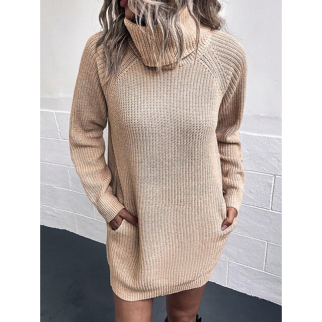  Women's Casual Dress Sweater Dress Sheath Dress Fashion Mini Dress Outdoor Daily Vacation Going out Pure Color Long Sleeve Turtleneck 2023 Pocket Loose Fit Black Wine Green S M L XL