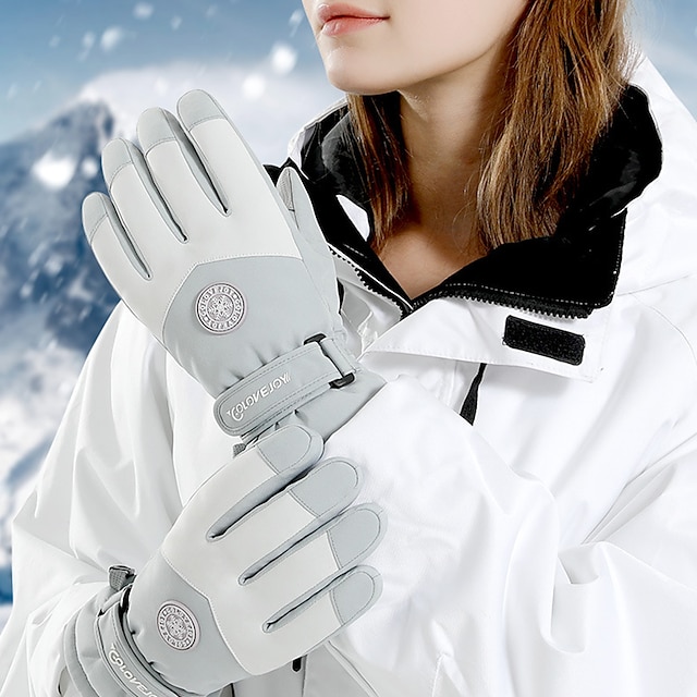  Ski Gloves for Women's Anti-Slip Touchscreen Thermal Warm Cotton Full Finger Gloves Gloves Snowsports for Cold Weather Winter Skiing Snowsports Snowboarding