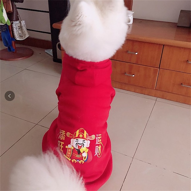  Chien Chat Pulls à capuche Mode Occasionnel Hiver Imperméable Respirant Doux Lavable Confortable Décontracté Quotidien Vêtements pour Chiens for Bichon Frisé Spitz Nain Bébé Animal Papillon Petit
