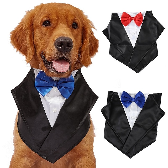  mascota perro mediano y grande traje vestido cuello boca agua bufanda boda caballero pajarita pelo dorado labrador