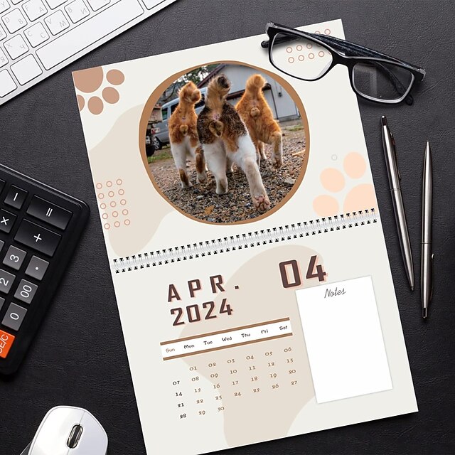 Cat Balls 2024 Calendar, New Funny Cat Butt Wall Calendar 2024, Funny