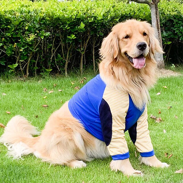  Dog Cat Shirt / T-Shirt Party Funny Breathable Soft Washable Comfortable Casual Daily Dog Clothing for Bichon Frise Pomeranian Baby Pet Papillon Small