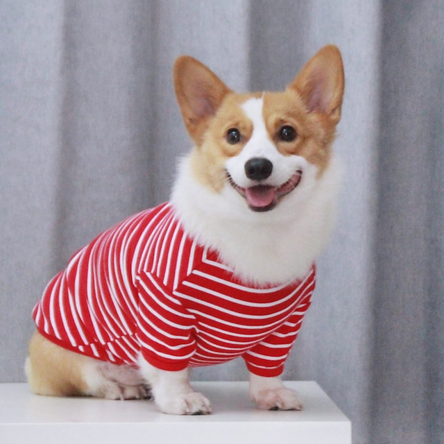  csíkos kutya póló anti haj karcsú koki teddy koreai kiadás kisállat ruházat kis kutya