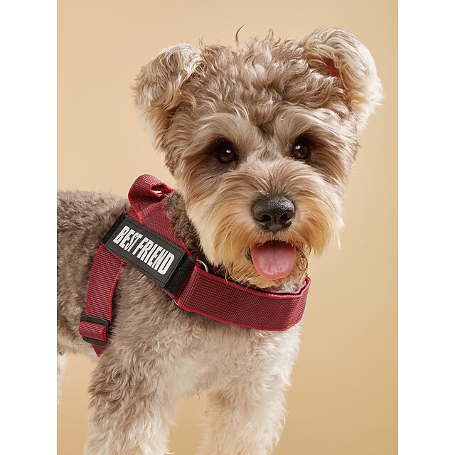  pettorina per cani e gatti gilet regolabile sport regolabile per esterni lettera classica poliestere cane piccolo cane medio cane grande rosso chiaro 1pz