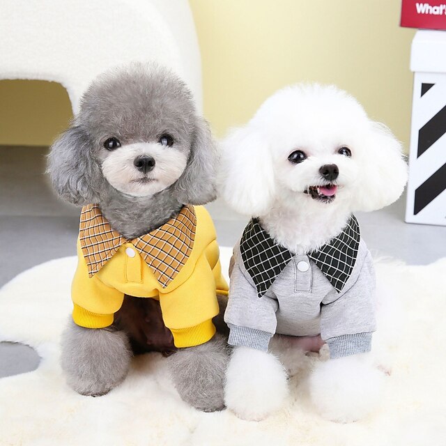  Dog clothing Pet clothing Autumn and winter Teddy cat pet clothing Winter new 23 lapel bear guard