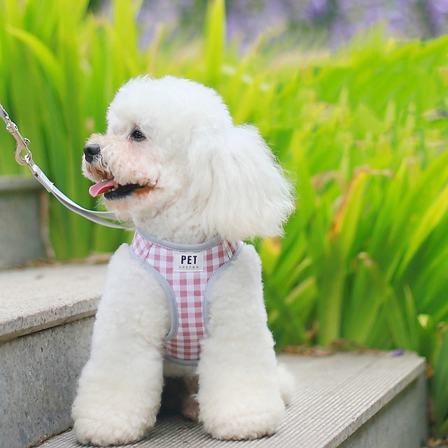  pet hrudní popruh cross border nové tílko styl kostkované prodyšné psí tažné lano small dog teddy walking rope