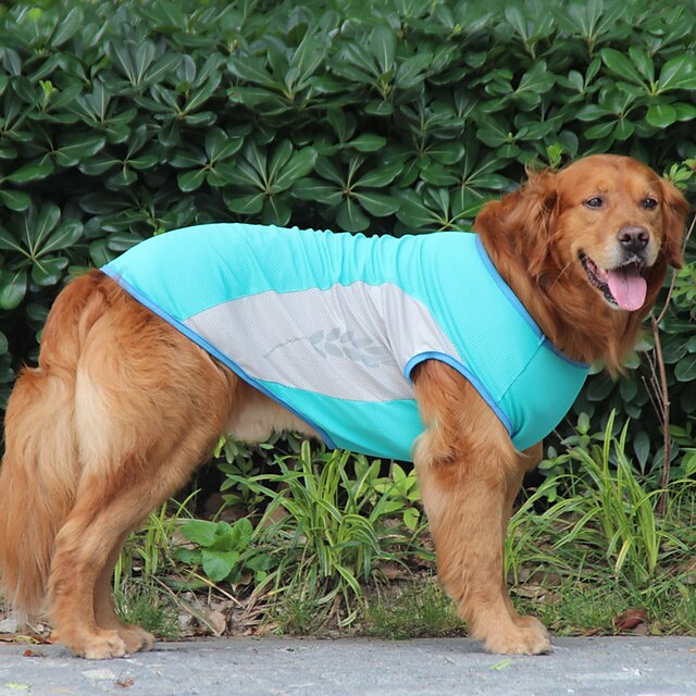  Leichte, atmungsaktive und Sonnenschutz-Kleidung aus goldenem Fell für große Hunde, reflektierende und coole Haustierkleidung für den Sommer
