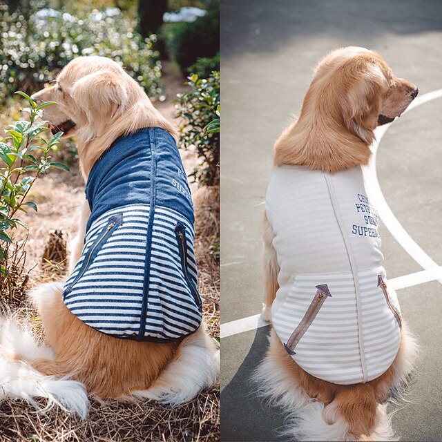  petstyle מפוספס כלב גדול מעיל דו רגליים שיער זהוב samoye האסקי מעיל ארבע רגליים