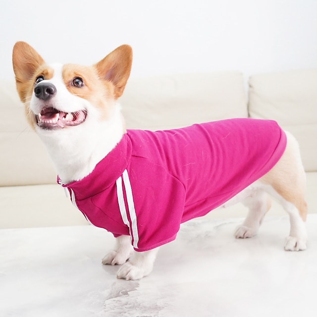  Pet it casual vintage roupas para cães esportes tendência marca pet suéter pequeno cão corgi bears chai roupas para cães