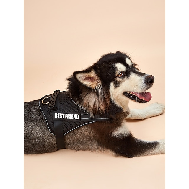  Dog Cat Harness Vest Adjustable Flexible Safety Soft Adjustable Outdoor Walking Solid Colored Polyester Small Dog Medium Dog Large Dog Black 1PC