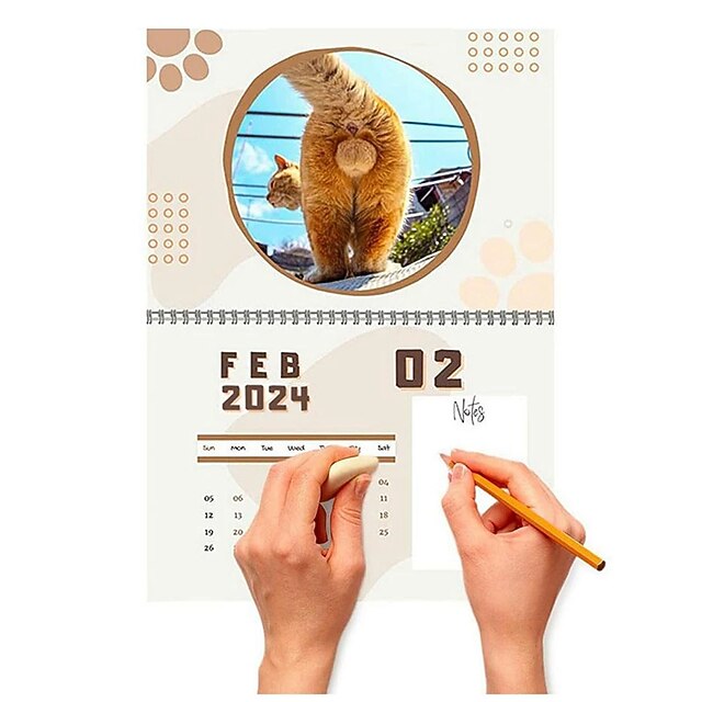 2024 Cats Buttholes Calendar, Funny Cat Ass Calendar 2024, Cat Butt