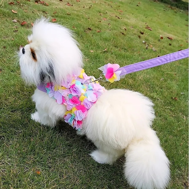  犬用 猫用 ハーネス リード ファッション パーティー 高通気性 洗濯可 快適 クリスマス クリスマス アウトドア カジュアル／普段着 犬服 for ビジョンフリーゼ ポメラニアン 赤ちゃんサイズ パピヨン Small