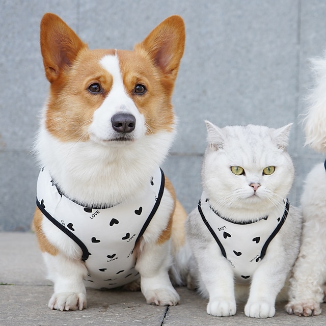  Тонкий жилет для домашних животных, одежда для собак с защитой от шерсти, боевая одежда для больших собак, плюшевого кота Кирки