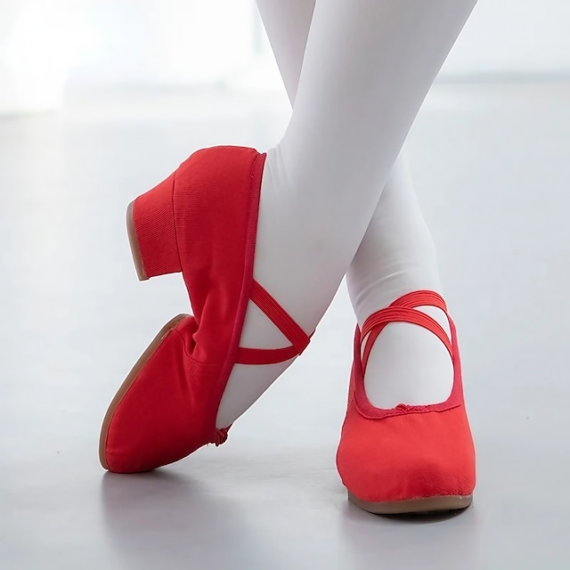  Women's Ballet Shoes Performance Party Evening Heel Cuban Heel Elastic Adults' Black White Pink