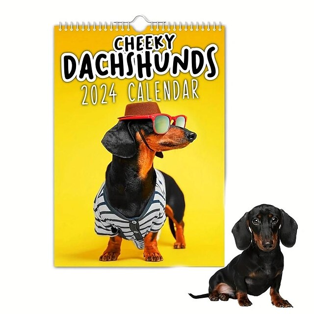 1pcs Cheeky Dachshunds 2024 Wall Calendar, 2024 Novelty Dog Calendars