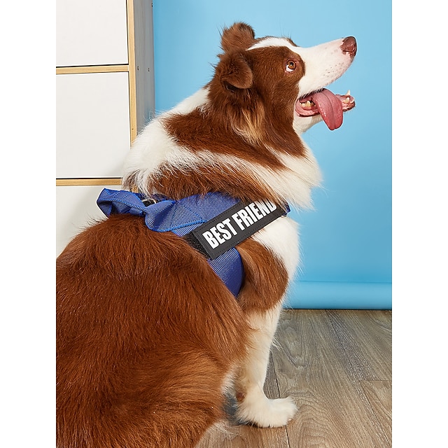  犬猫ハーネス調節可能なベストスポーツ調節可能な屋外レタークラシックポリエステル小型犬中型犬大型犬ブルー 1pc