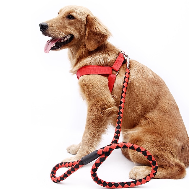  Fita pp tecida redonda corda para cães, cinta peitoral para cães, corda de tração, suprimentos para animais de estimação