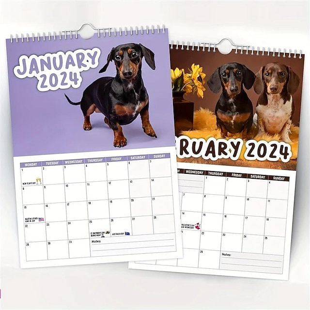 1pcs Cheeky Dachshunds 2024 Wall Calendar, 2024 Novelty Dog Calendars