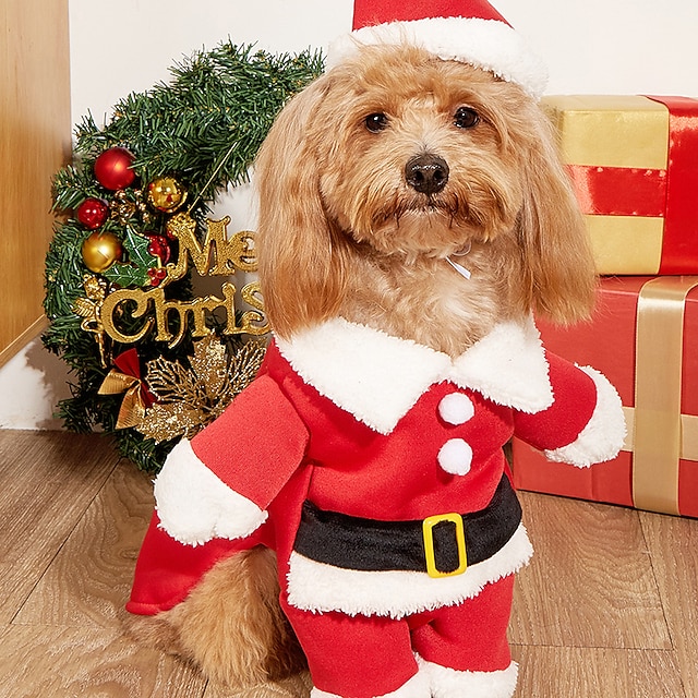  Cachorros Gatos Fantasia de Natal Roupa de Natal Moda Estilo bonito Inverno Macio Lavável Confortável Natal Ao ar livre Casual / Diário Bichon Frise Poodle Pomerânia Animais de Pequeno Porte Borboleta