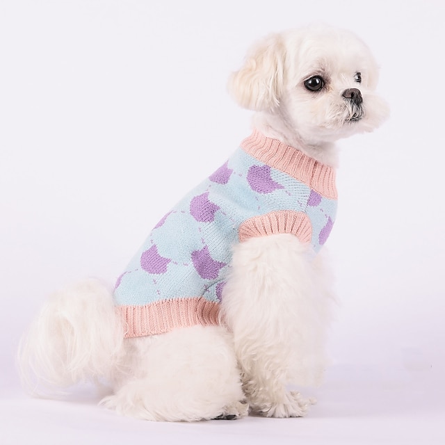  Herbst- und Winterhunde-Pullover mit vollem Aufdruck, Kaninchenpullover, kleiner Hund, Teddybären, Pomeranian-Strickwaren, Katzenhaustierkleidung