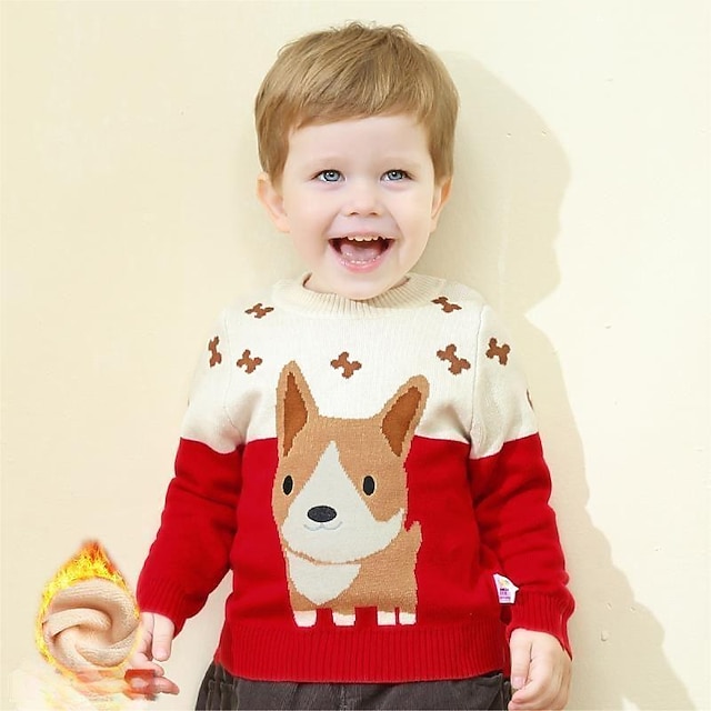 Toddler Boys Sweater Graphic Long Sleeve Crewneck Outdoor Adorable Wine