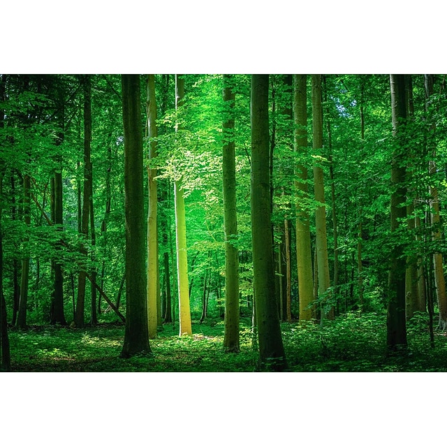 10 Stück 3D Wandpaneele Selbstklebend 30x30cm - Holzoptik Grau