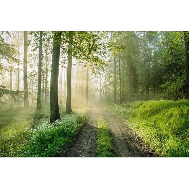 3D Natur Grünes Meer H73 Tapete Wandbild Selbstklebend Abnehmbare