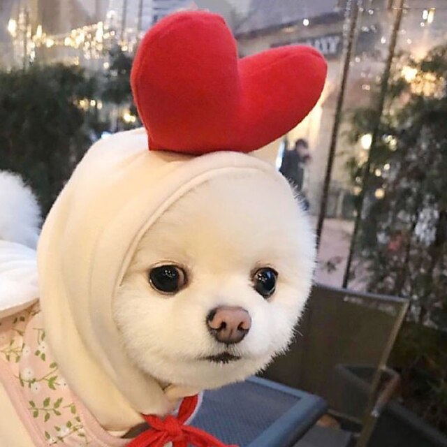 Dog Cat Hoodie Cute Casual Winter Breathable Soft Washable Comfortable Christmas Outdoor Casual Daily Dog Clothing for Bichon Frise Pomeranian Baby Pet Papillon Small4