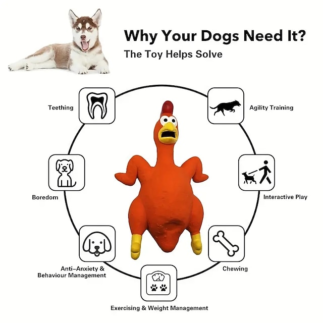  kauwspeeltjes Pluche speelgoed Interactief speelgoed Piepend speelgoed met Duurzaam Tandjes speelgoed voor Honden Katten Voor Binnen Voor buiten Huisdierspeelgoed