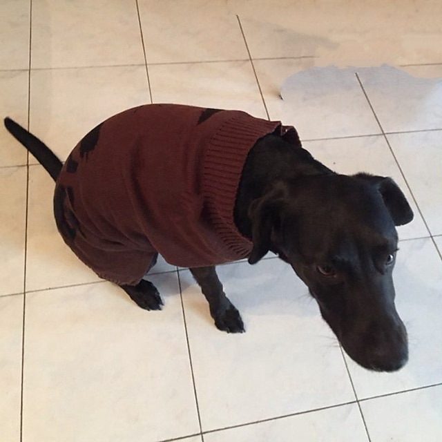  pet oblečení pet oblečení teddy dog oblečení podzimní a zimní pes ošklivý svetr