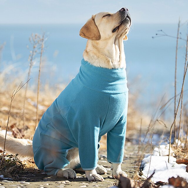  Hund Katt Kappor Jakke Mode Ledigt Vinter Varm Andningsfunktion Mjuk Tvättbar Bekväm Jul Halloween Utomhus Ledigt / vardag Hundkläder for golden retriever Corgi Tax Pommeran valpen eller det lilla