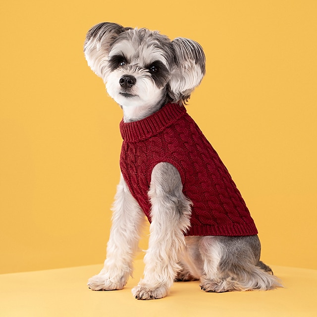  ביגוד לחיות מחמד סתיו וחורף אופנה חדשה צבע סוכריות סוודר כלב חיית מחמד צבע אחיד סוודר סוודר טוויסט סרוג הגנה