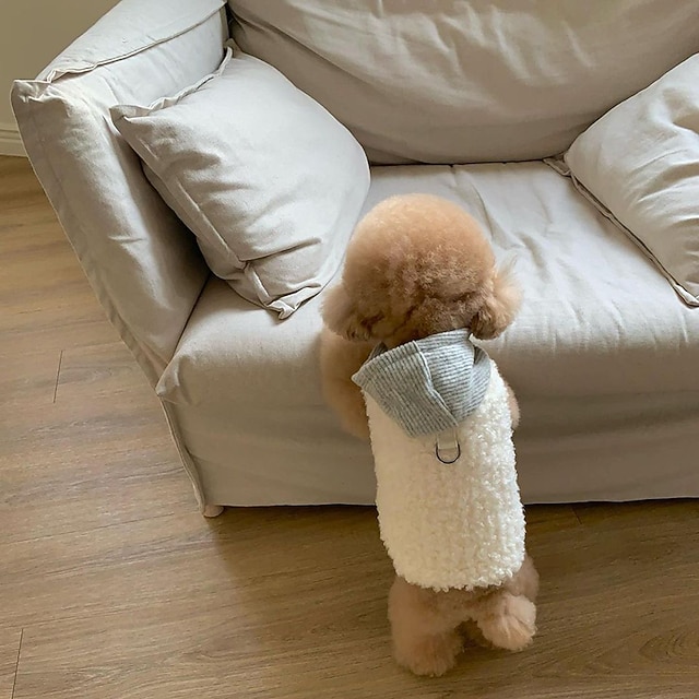  Koirat Kissat Takit Takki Muoti söpö tyyli Talvi Lämmin Pehmeä Pestävä Mukava ulko- Urheilu Koiran vaatteet for Bichon Frise Villakoira Pomeranian Pienelle lemmikille papillon