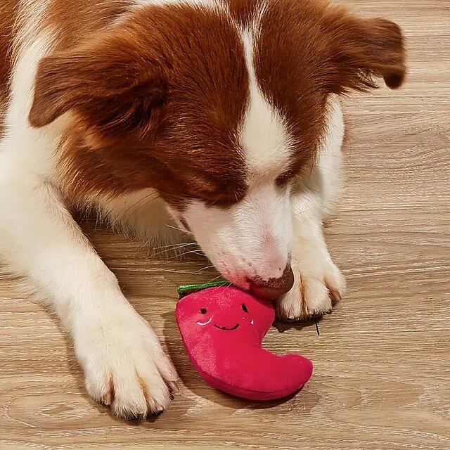  1pc Interactive Pet Toy - Squeaky Chili Pepper for DogsPromotes Play and Exercise