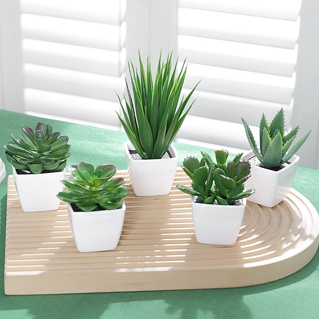 5 Stück/Set immergrüne Pflanzen, die Kunststoff-Mini-Sukkulenten-Topfpflanzen simulieren, geeignet für die Dekoration von Zuhause, Restaurant, Desktop, Fensterbank, Bücherregal, Dekoration,