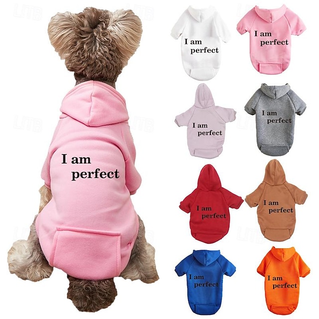  Chemise de sport à capuche ample pour chien, lettre imprimée, pull décontracté, vêtements pour chat de petite et moyenne taille, ours en peluche