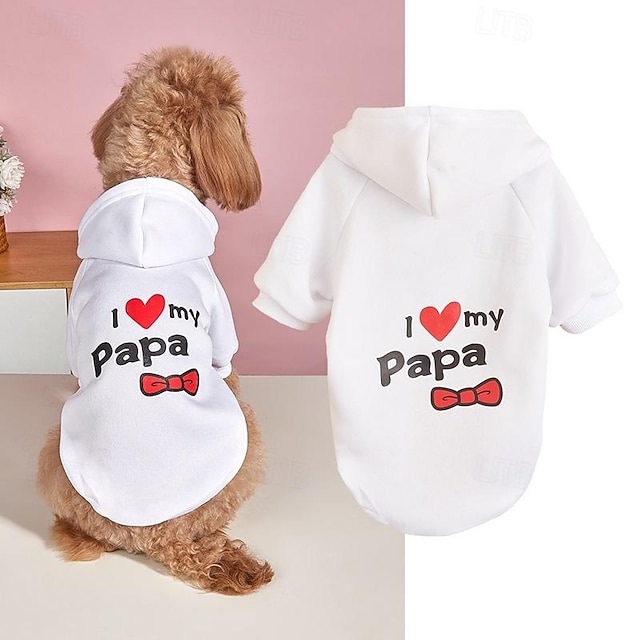  Cachorros Gatos Camisola com Capuz Estilo bonito Casual Inverno Respirável Macio Lavável Confortável Ao ar livre Casual / Diário Roupas para cães for Bichon Frise Pomerânia Animais de Pequeno Porte