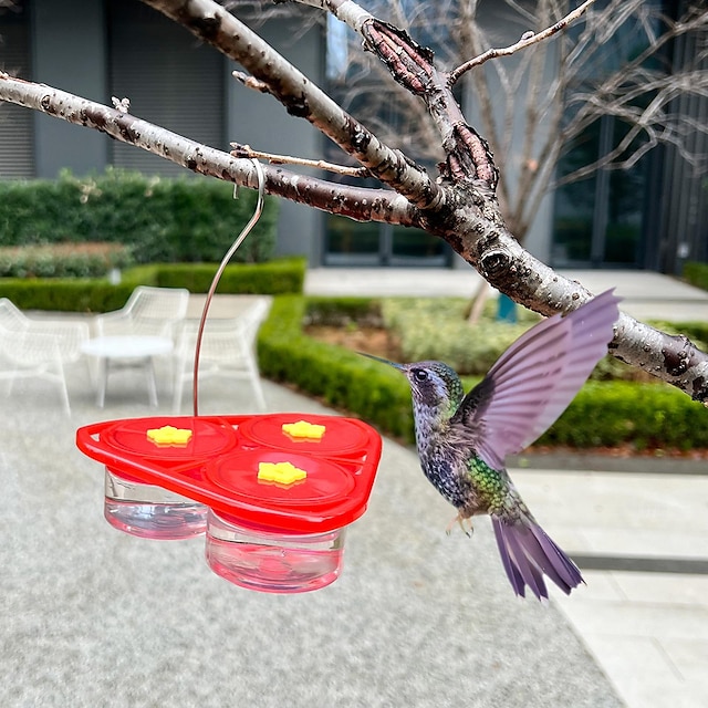  Hrănitoare pentru păsări colibri, bucurați-vă de frumusețea naturii cu agățat, ventuză și hrănitoare portabile de flori pentru păsări. Îmbunătățiți-vă grădina sau curtea cu aceste opțiuni convenabile