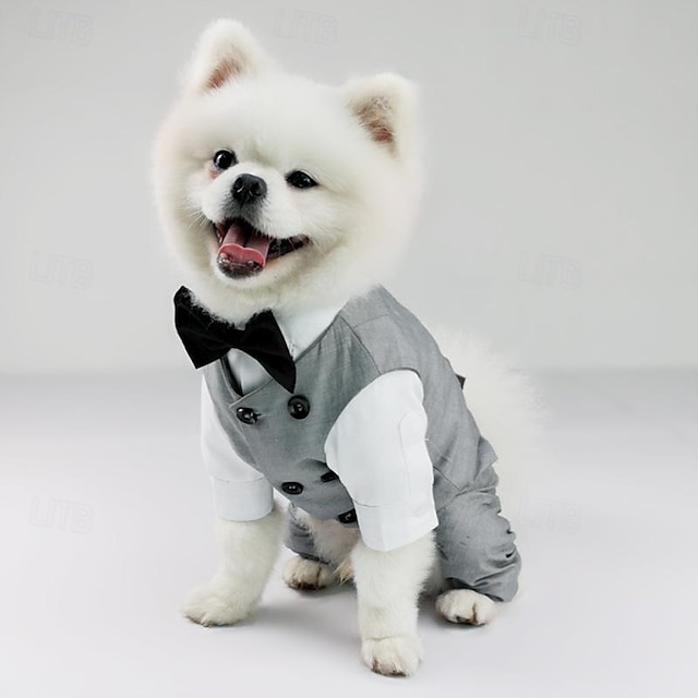  nuovi pantaloni camicia per animali domestici abiti da sposa per cani a quattro zampe abiti da sposa per gatti boutique di vestiti per animali domestici