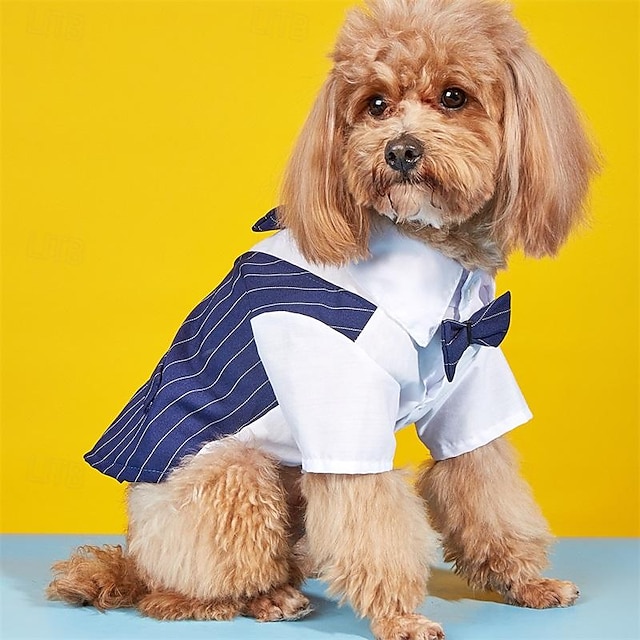  Novo vestido para animais de estimação de algodão, camisa com gravata fina, terno para cachorro, roupas de pelúcia bixiong