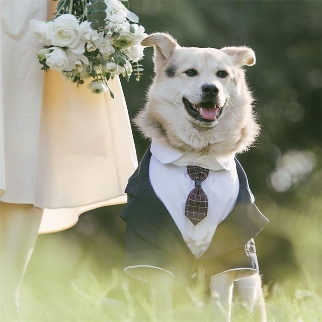  Wedding Pet Tuxedo Fake Two Piece Set with Tie Set corgi Chai Suit Wedding Pet Dress
