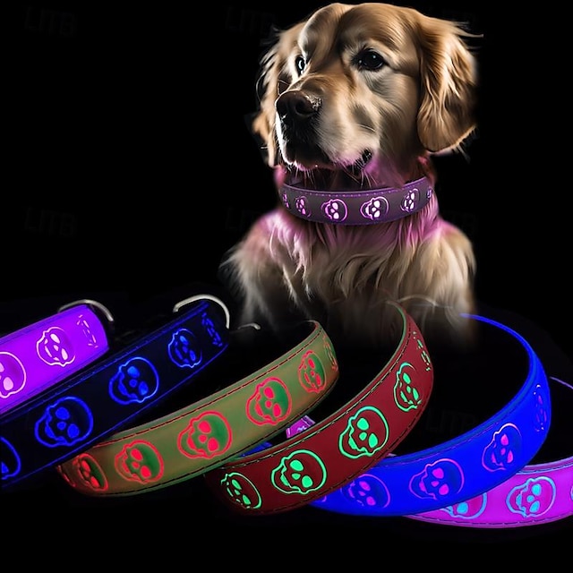  Pet supplies luminous collar skull head rechargeable dog neck collar waterproof dog neck collar flashing dog chain luminous collar