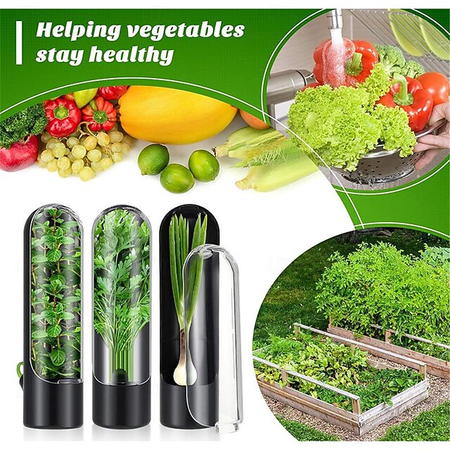 Asparagus and Vanilla Crisper Container Ecofriendly Vegetable Crisper