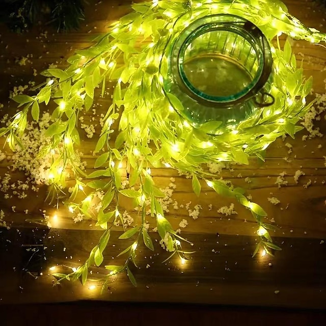  3m * 1m חוטי תאורה 100 נוריות 1 pc לבן חם צבעוני לבן נטו אורות צמחים מלאכותיים בתוך הבית מפלגה מופעל באמצעות USB