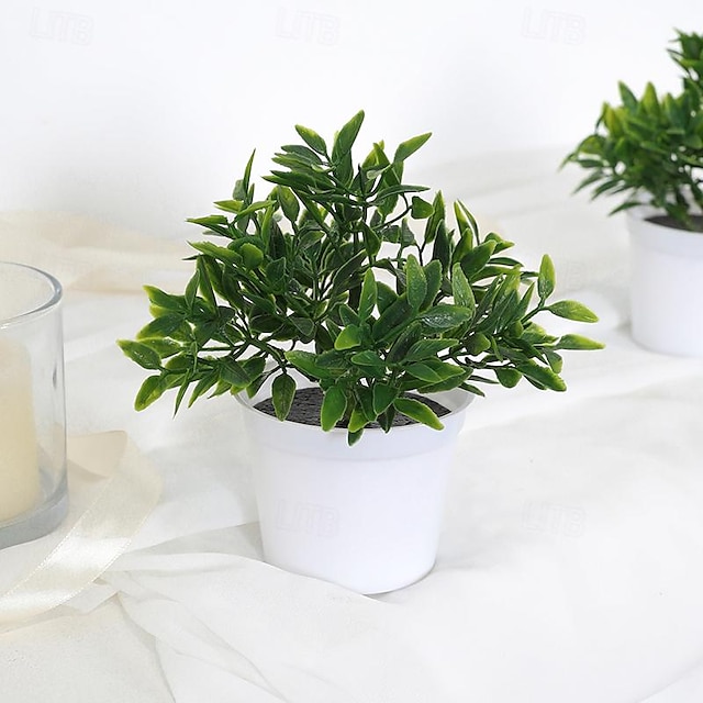  pianta in vaso di pianta da tè in miniatura realistica