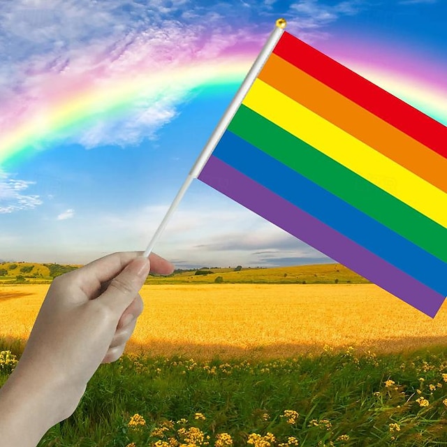  LGBT LGBTQ Curcubeu Steag Pentru copii Adulți Bărbați Pentru femei Băieți Fete Gay lesbiană Parada Mândriei Luna Mândriei Costume de Halloween ușoare