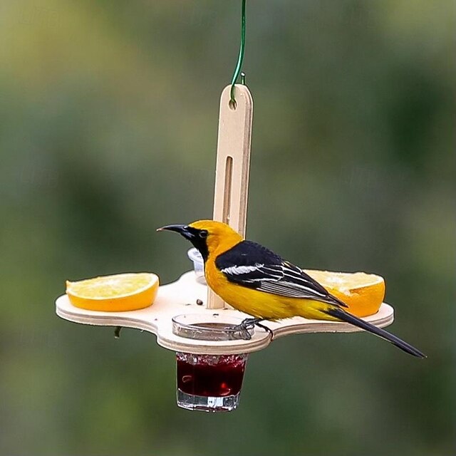 Bird Feeding Field, Bird Feeder, Drinking Grape Jelly Bird Feeder, Bird