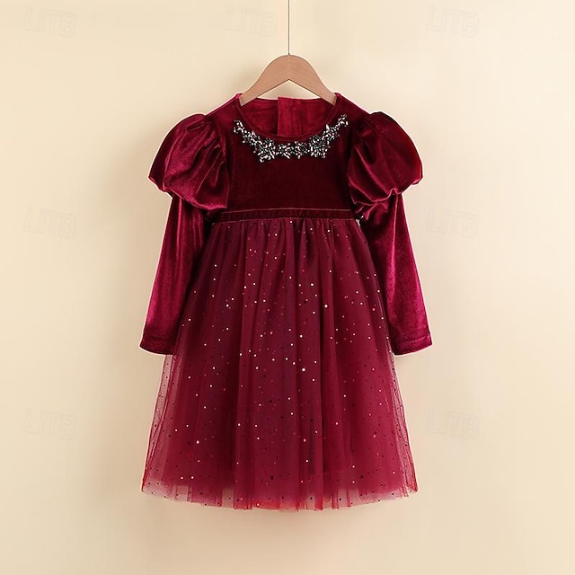 Enfants Fille Robe de fête Couleur unie manche longue Robe de baptême